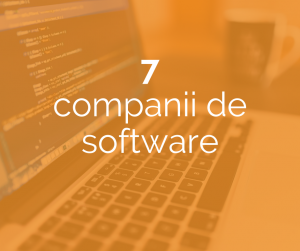 7 companii software
